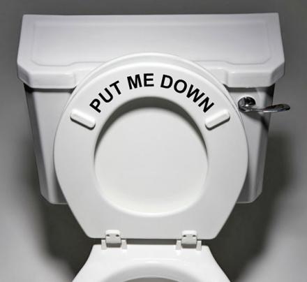 Put Me Down Toilet Seat Decal Sticker