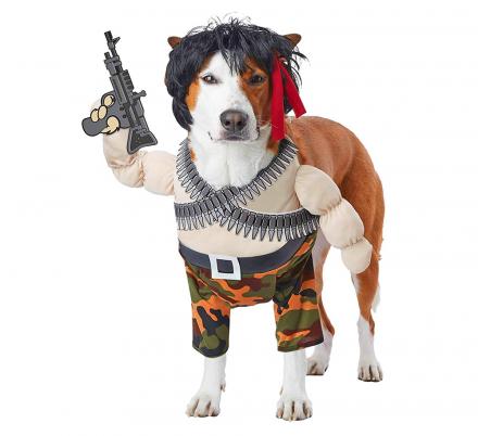 Rambo Dog Costume