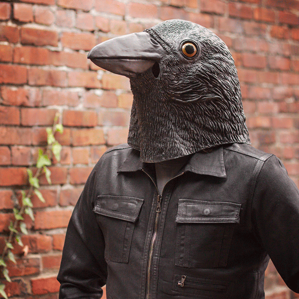 Realistic Crow Head Mask