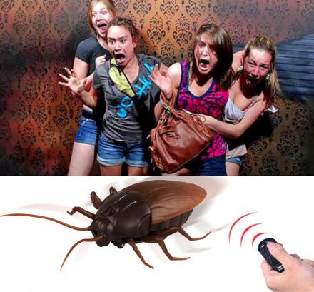 Remote Control Cockroach