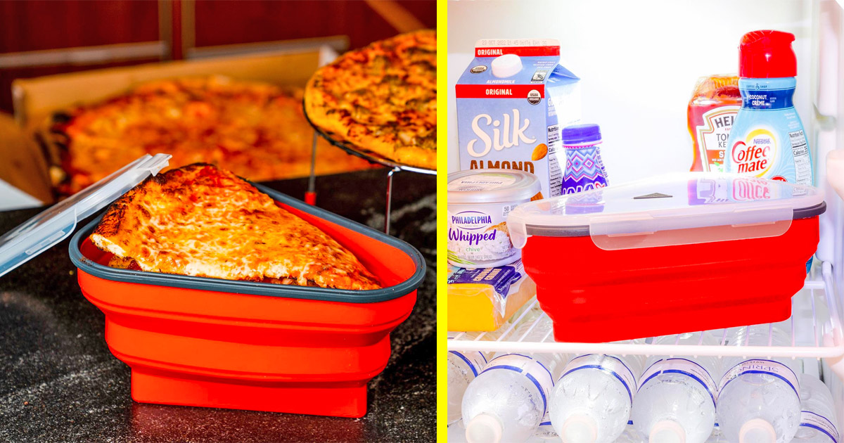 https://odditymall.com/includes/content/reusable-leftover-pizza-container-og.jpg