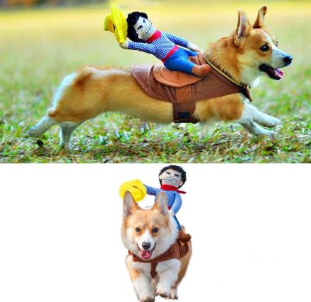 Dog costume outlet riding cowboy