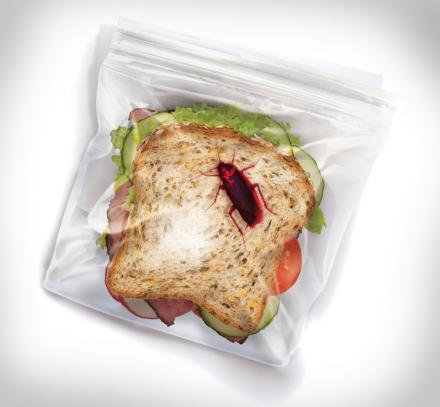 Sandwich Bags With Bugs