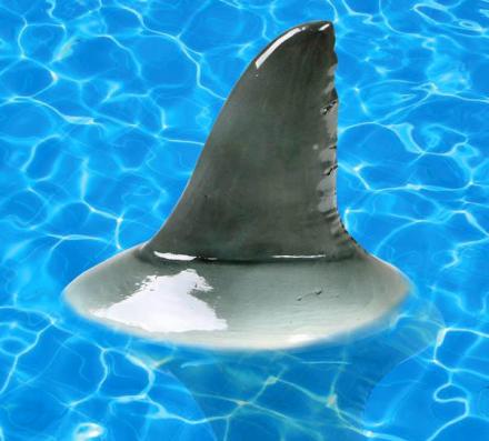 Shark Fin Pool Float