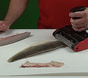 SKINZIT: An Electric Fish Skinner That Skins Fish in Seconds