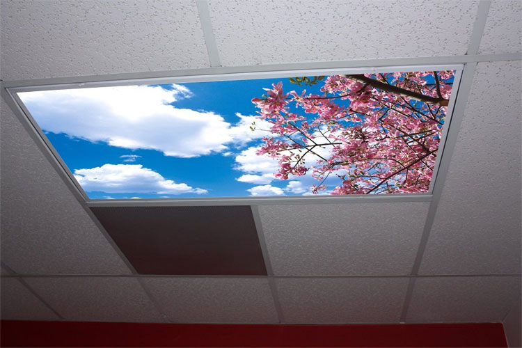 These Sky Panel Light Fixture Covers Help With Dark ...