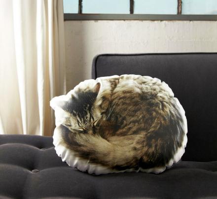 Sleeping Cat Pillow