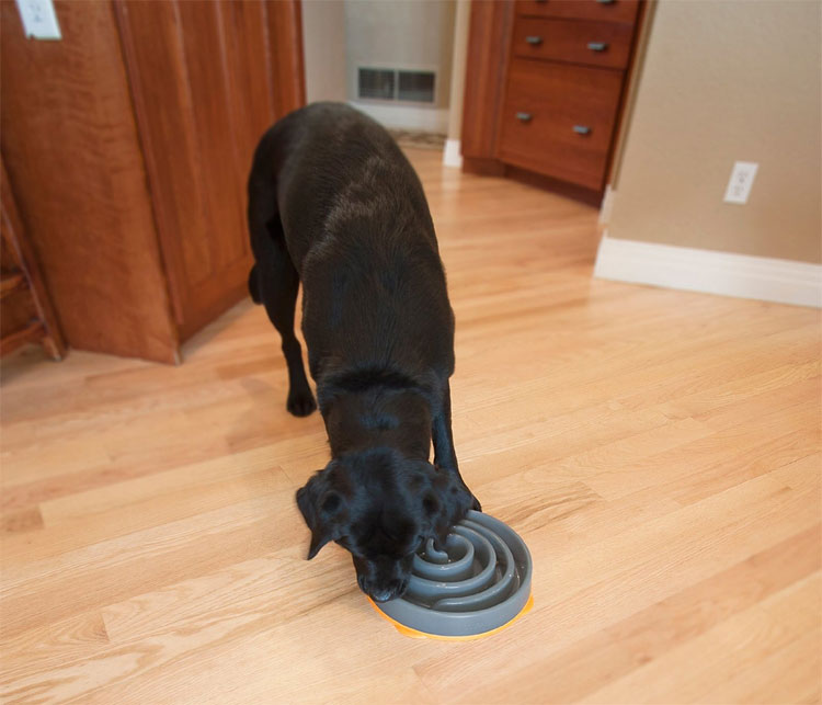 Slo-Bowl Dog Bowl For Slower Feeding