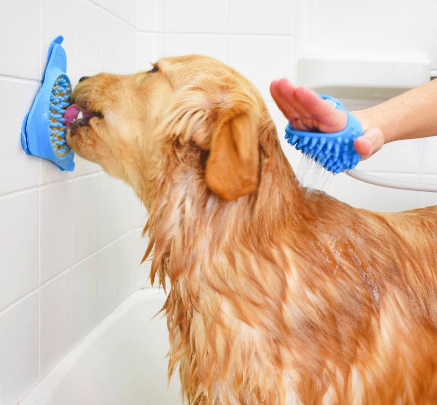 peanut butter on wall to wash dog