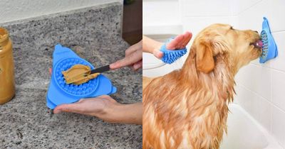 Slow Treater: Wall Mounted Treat Lick To Distract Dogs While Bathing