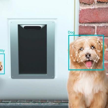 This Smart Automatic Doggie Door Uses Facial Recognition To Only Let Your Pet Inside