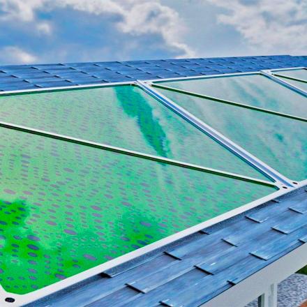 These Solar Biopanel Windows Use Algae to Generate Power and Absorb Carbon