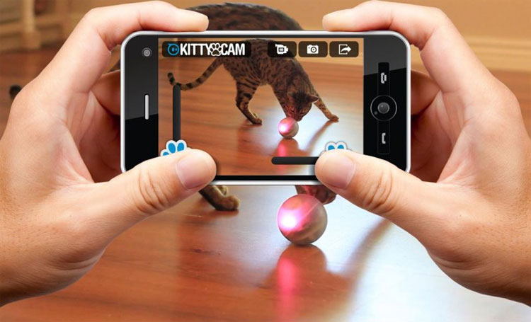 Sphero Smartphone Controlled Ball