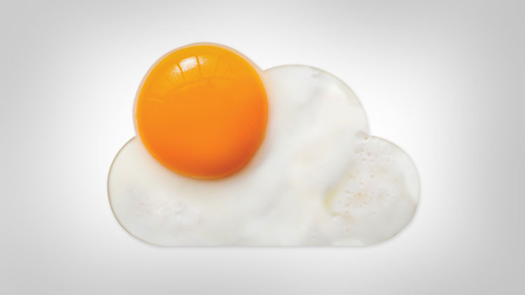 Sunnyside Egg Mold 1