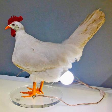 This Taxidermy Chicken Egg Lamp Exists, and We Begrudgingly Love It