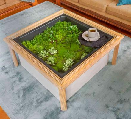 This Terrarium Coffee Table Makes The Perfect Centerpiece In Your Living Room