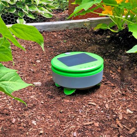 Tertill Weeding Robot