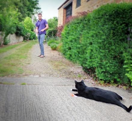 The Cat-Fish Is a Fly Fishing Pole Cat Toy