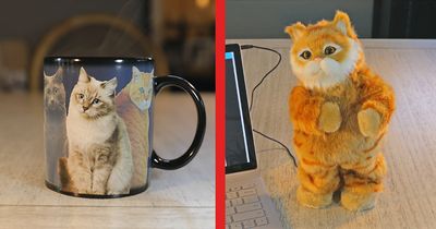 The Cat Lady Starter Pack