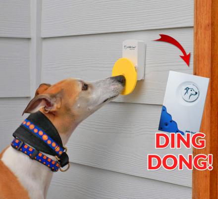 dog doorbell button