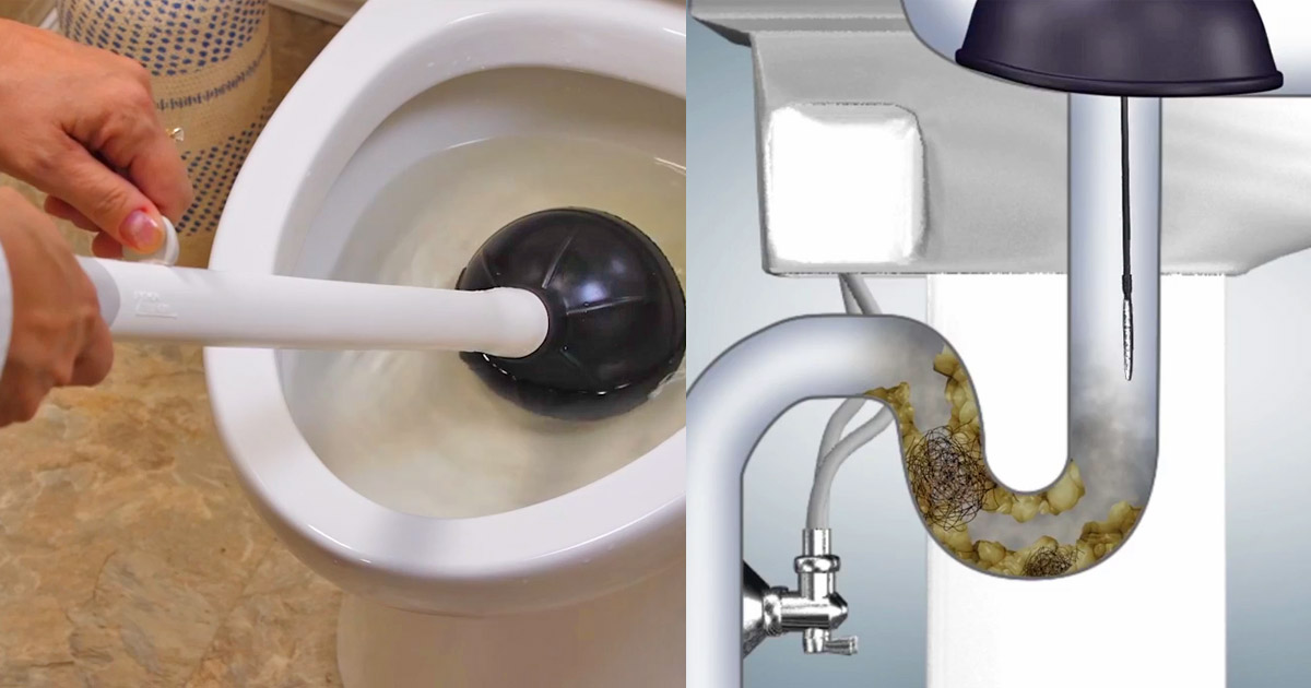 snake toilet plunger