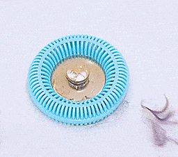 The Tub Ring Wraps Around Your Drain To Instantly Catch Every Hair