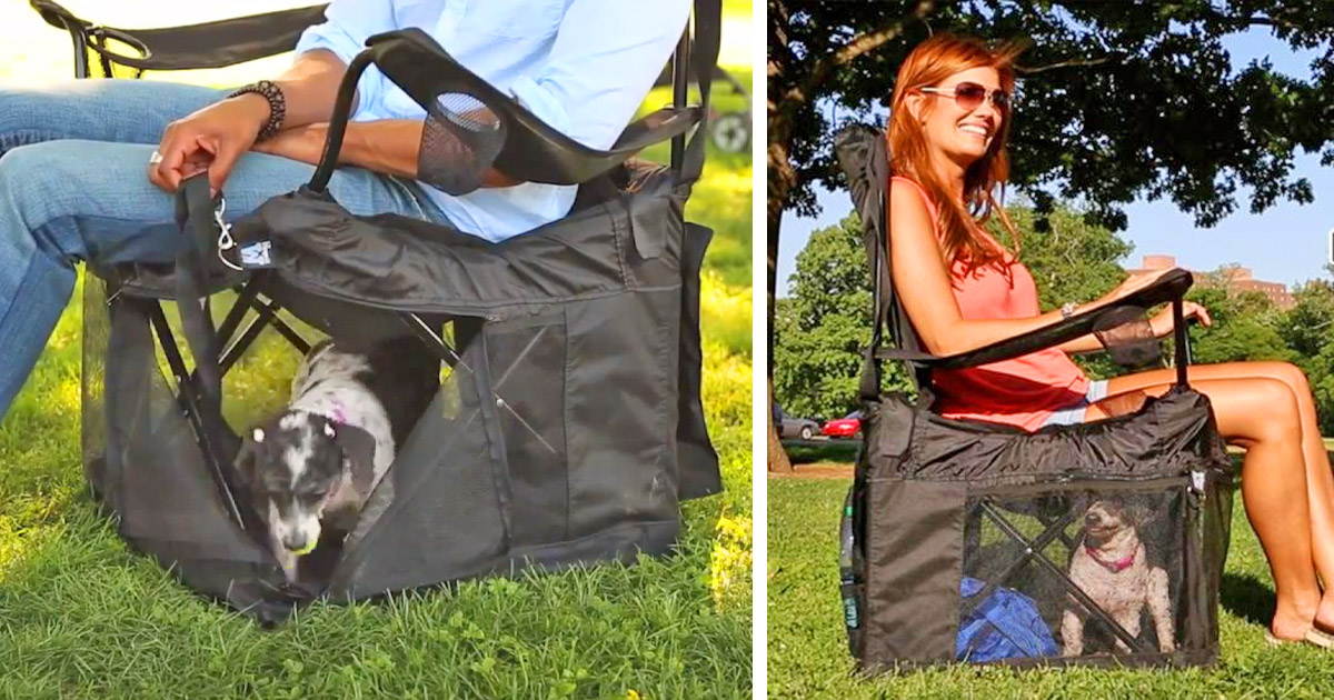 folding chair with dog crate