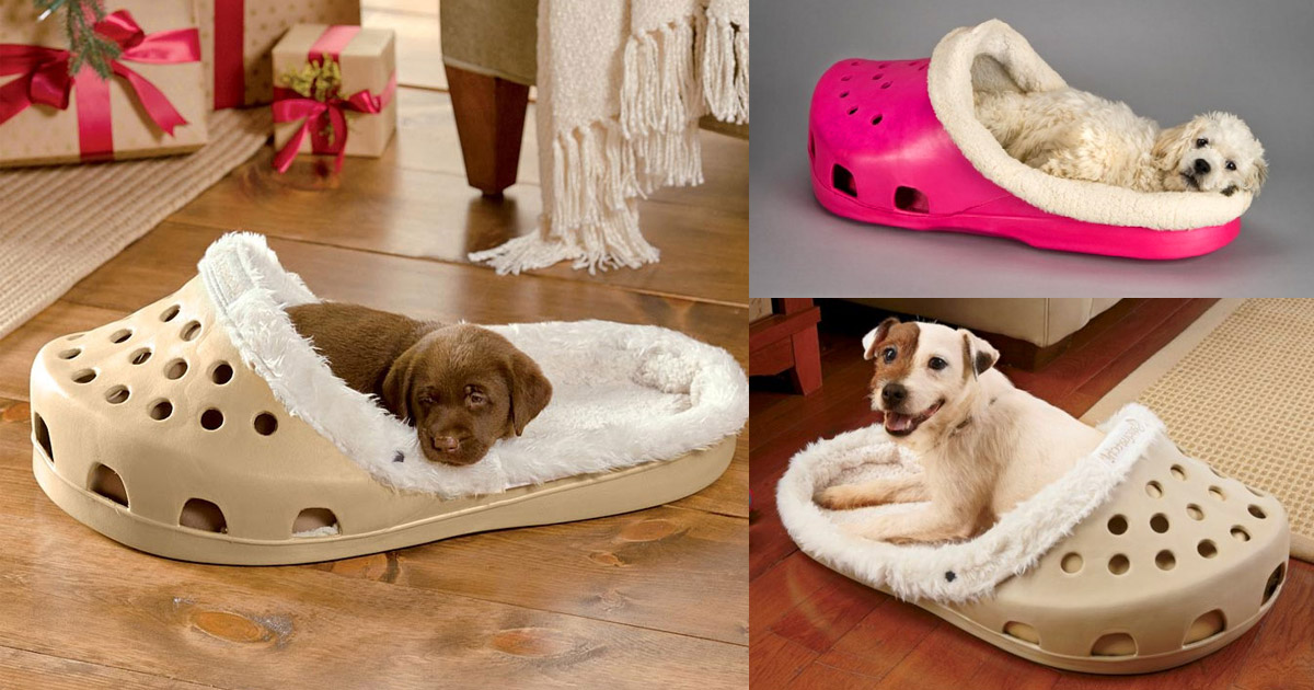 There's A Shoe Shaped Dog Bed That 