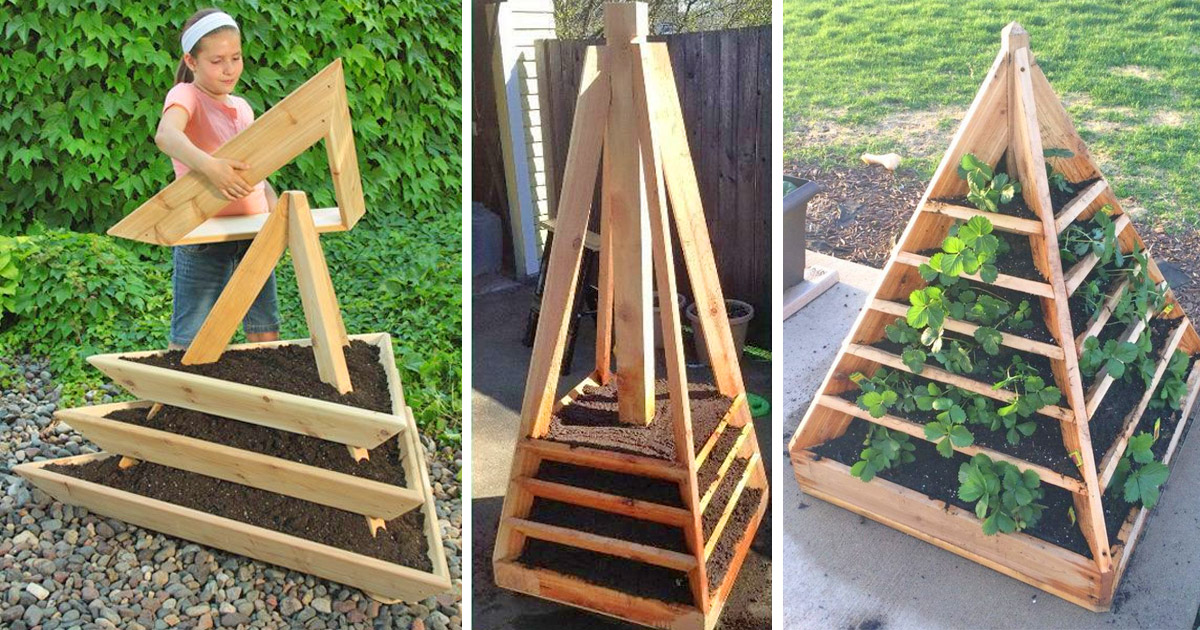 These DIY Pyramid Planters Lets You Grow Strawberries In The Coolest Way Possible