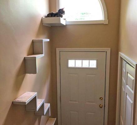 Set of Four: Three Floating Cat Cube Shelves and One Floating Cat Bed  Floating Cat Shelves Cat Perch Reclaimed Wood Shelves 