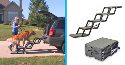 These Portable Pet Loader Stairs Help Small Or Elderly Dogs Into The Car