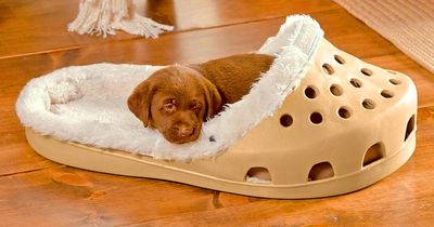 These Shoe Shaped Dog Beds Exist For Dogs That Love Slippers