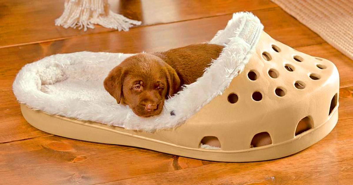 Giant croc 2025 dog bed