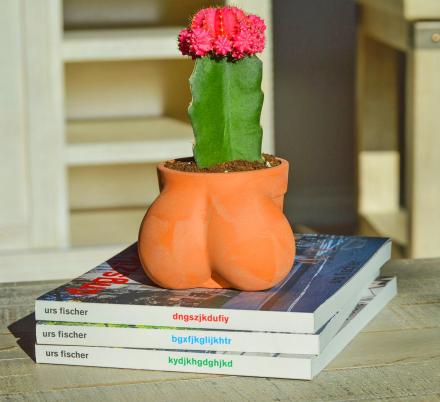 This Balls Shaped Planter Lets You Grow The Perfect Sized Cactus You've Always Dreamed Of Having