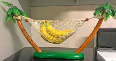 This Banana Hammock Is An Actual Hammock For Holding Bananas