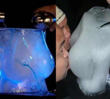 Large Penis Ice Luge DIY Freeze At Home