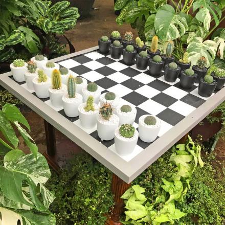 This Cactus Chess Board Is The Perfect Game For Your Garden or in a Porch