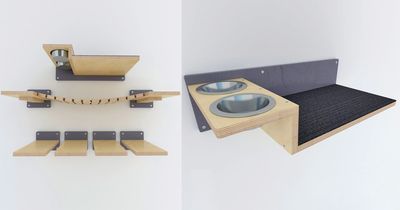 This Wall-Mounted Cat Feeder Saves Space In Smaller Homes and Apartments