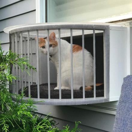 This Cat Solarium Lets Your Kitties Bask In The Sun and Catch a Cool Breeze