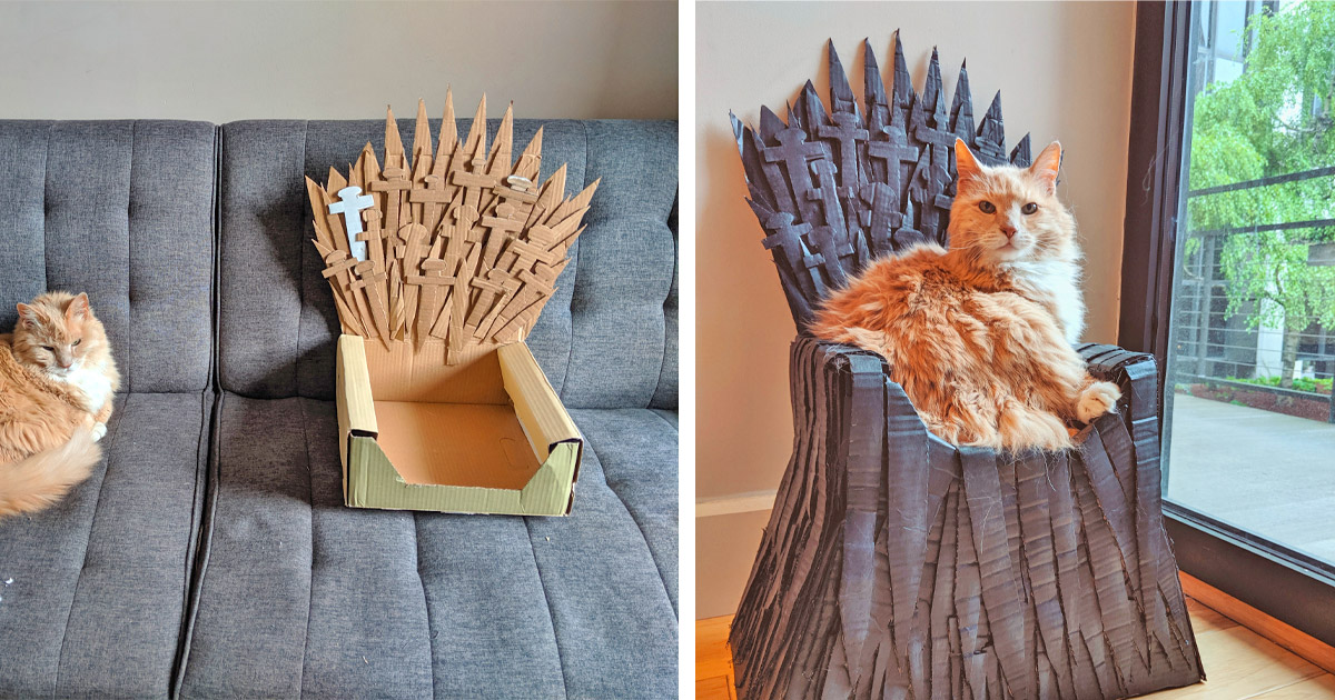 This Diy Iron Throne Cat Bed Is A Must