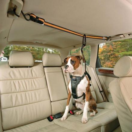 This Dog Car Zipline Keeps Your Doggo Safe While Still Letting Them Move Around