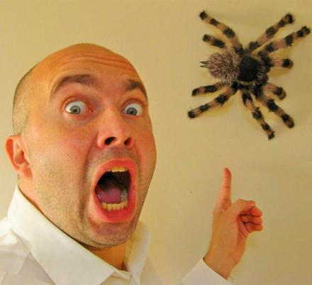 This Fake Tarantula Makes For The Perfect Prank Or Halloween Decor