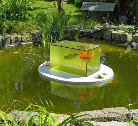 This Floating Fish Aquarium Lets You View Your Fish Above The Water Line