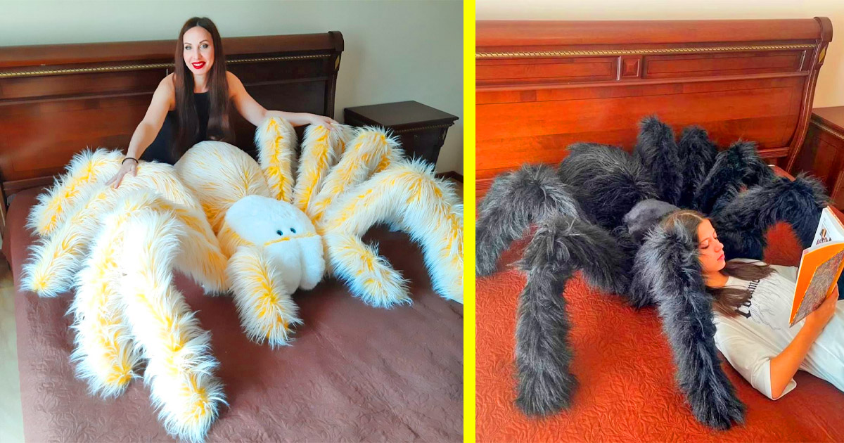 https://odditymall.com/includes/content/this-giant-tarantula-spider-pillow-makes-the-perfect-prank-or-napping-spot-og.jpg