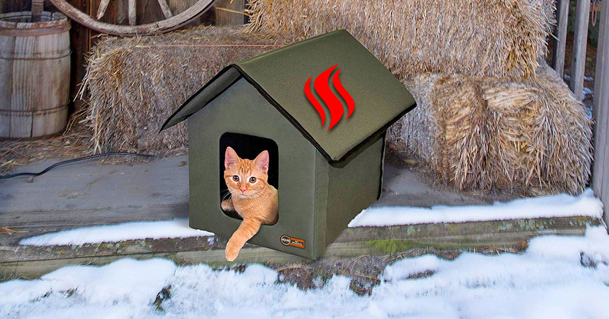 Outdoor heated cat house hotsell for winter