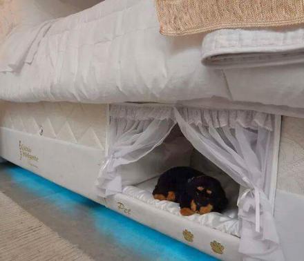 This Mattress Has a Dog Bed Built Into The Side Of It