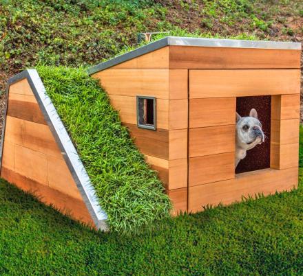 This Modern Dog House Is Made With Grass Ramp, and An Automatic Water Faucet On Top