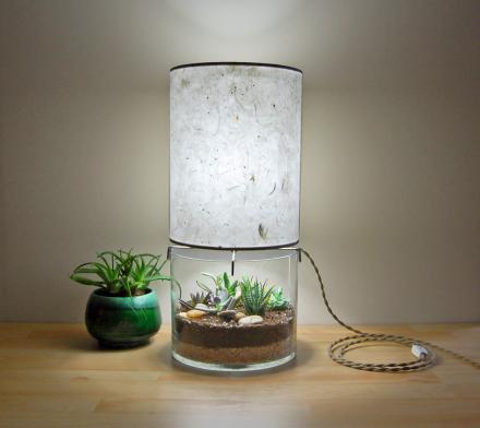 This Paper Lampshade Table Lamp Has a Glass Base For a Plant Terrarium