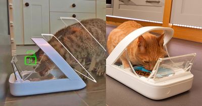 This Pet Feeder Scans Your Pet To Make Sure The Right Pet Eats The Right Food This Pet Feeder Scans Your Pet To Make Sure The Right Pet Eats The Right Food