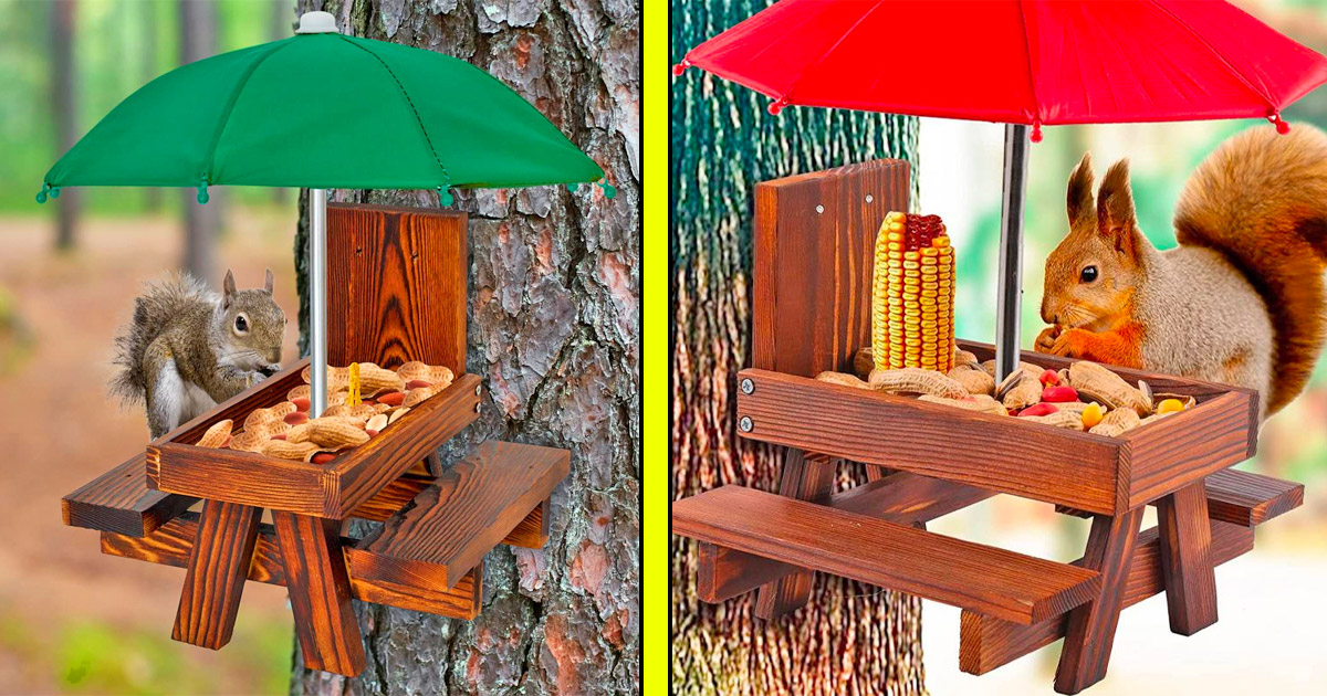 This Picnic Table Squirrel Feeder With Umbrella Is The Perfect Snacking